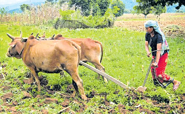 Women Farmers Increasing In The Country NABARD Report - Sakshi