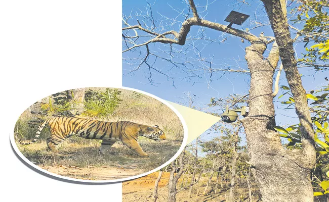 Electronic Eye Surveillance System in Amrabad Tiger Reserve - Sakshi