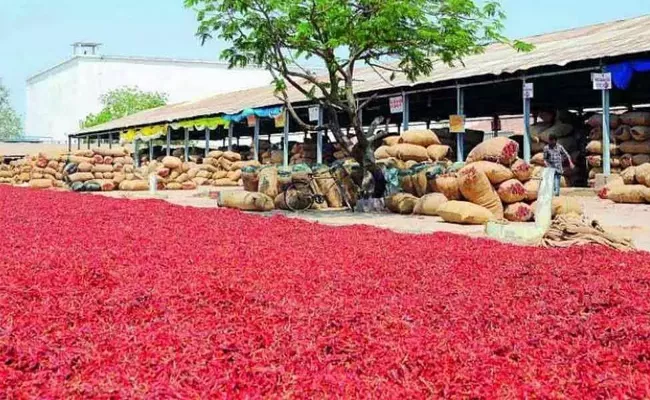 Andhra Pradesh Guntur Mirchi Tobe Exported To Foreign Countries - Sakshi