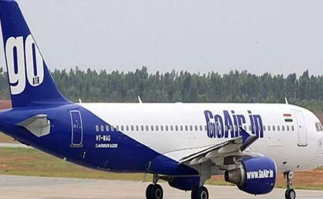 Goair Flight From Bengaluru Suffers Bird Hit At Patna - Sakshi