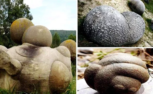 The Mysterious Living Stones of Romania They Grow and Move - Sakshi