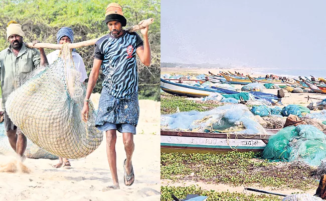 Ap Prakasam Singarayakonda Fishermen Life Story - Sakshi