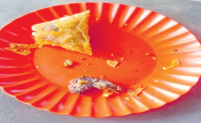 Rat Hamster Found In Samosa At Siddipet - Sakshi