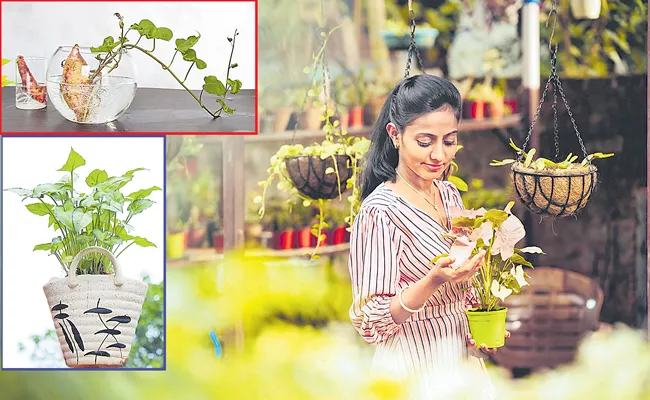 Reshma Ranjan from Jharkhand left her government job to pursue her passion for gardening - Sakshi