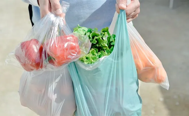 Strict Implementation Of The Ban On Plastic In Andhra Pradesh - Sakshi