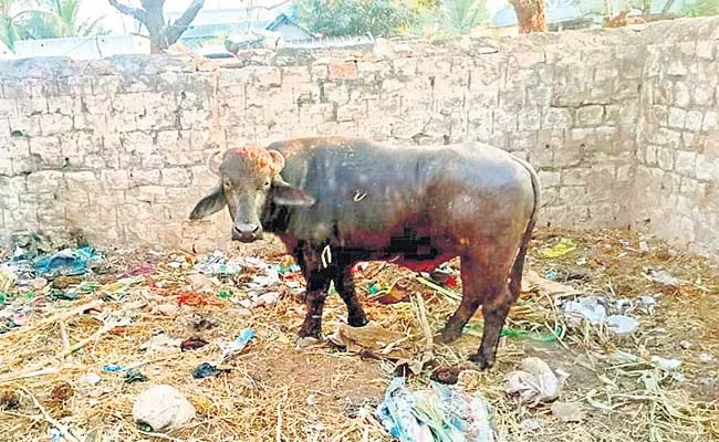 Fire Broke Between Two Villages For Ploughing At Kanekal Ananthapur - Sakshi