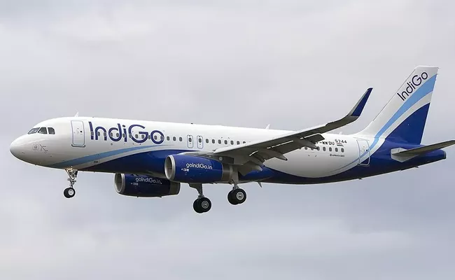 Indigo Apologized To The Passengers - Sakshi