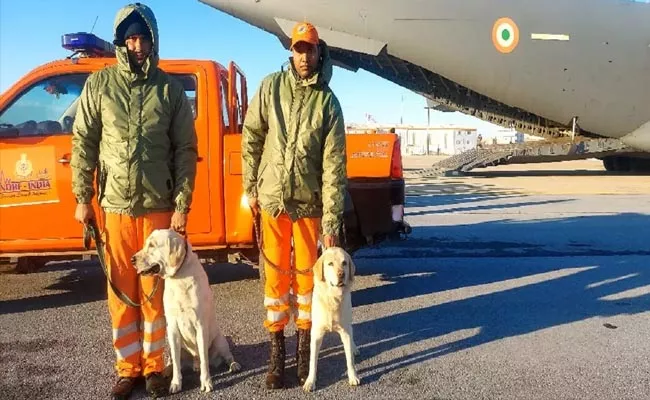 Indian Dog Squad Helping To Search And Rescue For Turkey Tragedy - Sakshi