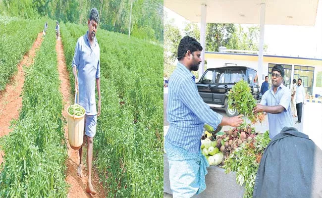 Reddypally Open Air Jail Has Unique Identity As Beautiful Farm - Sakshi