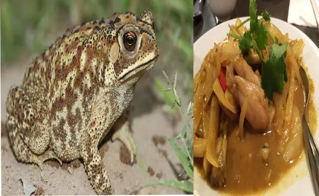 Dad Killed Frog Daughter Died After She Eat Toad Curry  - Sakshi