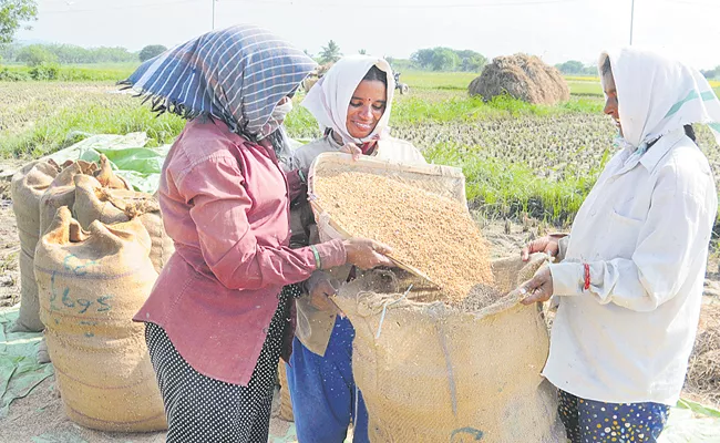 NITI Aayog Study Says Women workforce has increased in India - Sakshi