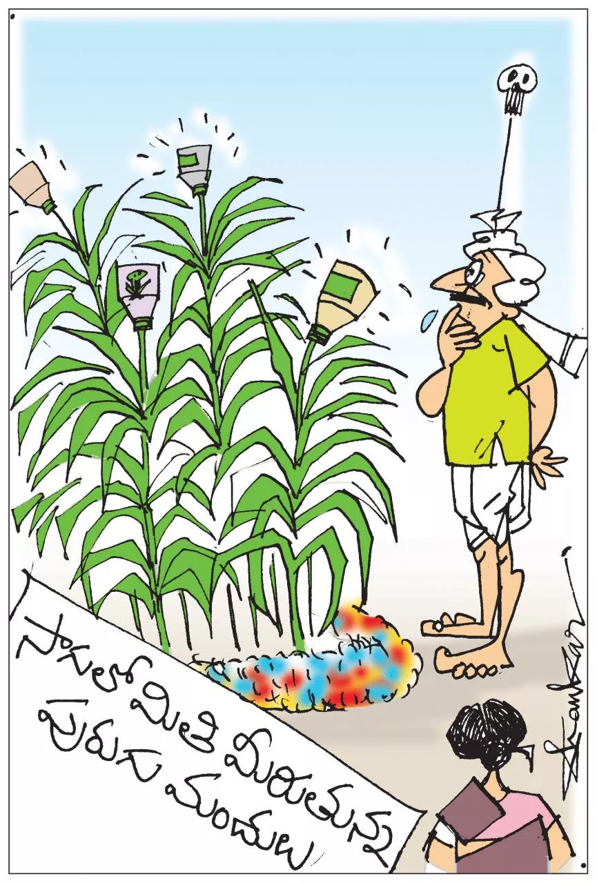 Pesticides Overuse Agriculture Alarming Situations - Sakshi