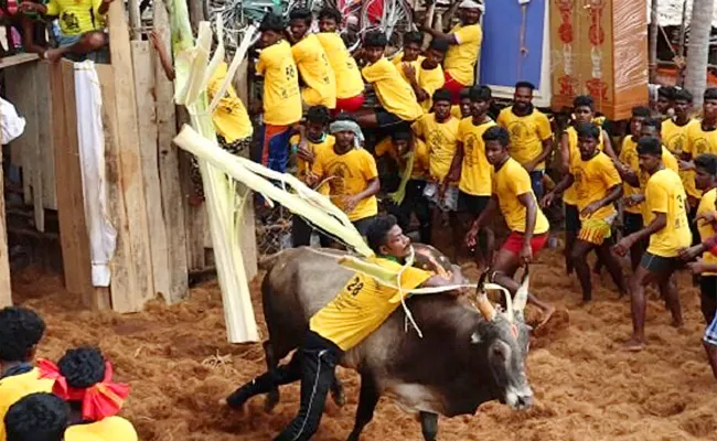 village of Hosur Protest On Highway For jallikattus Venue - Sakshi