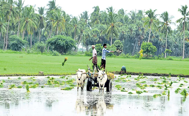 Central Govt Says bringing key changes in agriculture sector - Sakshi