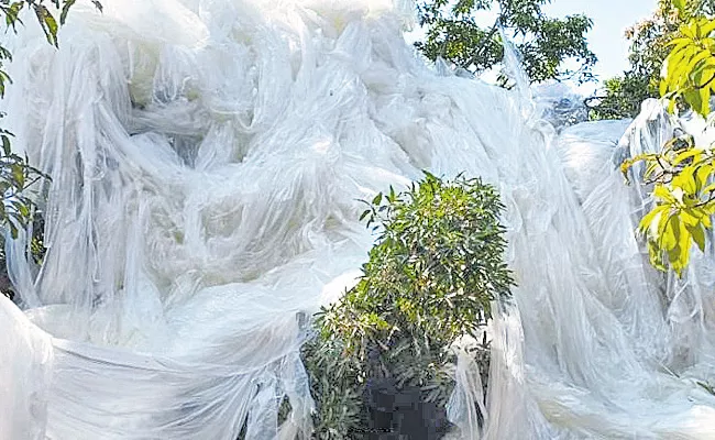 Telangana Nagarkurnool Huge Balloon Crashed Crop Fields - Sakshi