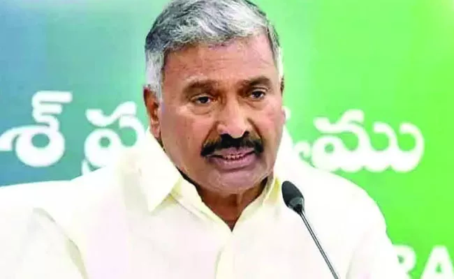 Minister Peddireddy Ramachandra Reddy Comments On Chandrababu - Sakshi