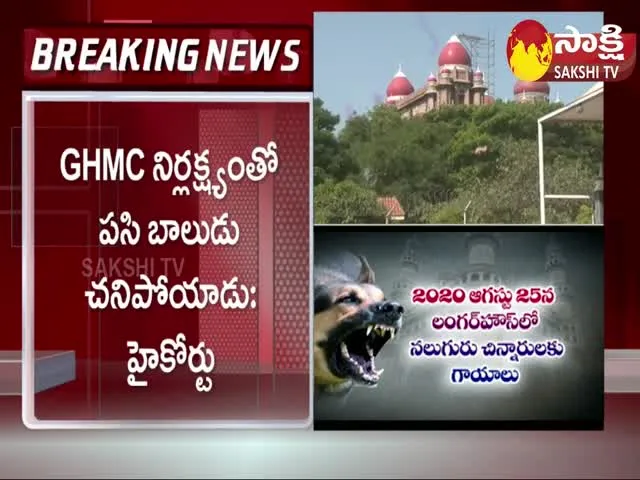 Amberpet Stray Dogs Issue: Telangana High Court Serious on GHMC