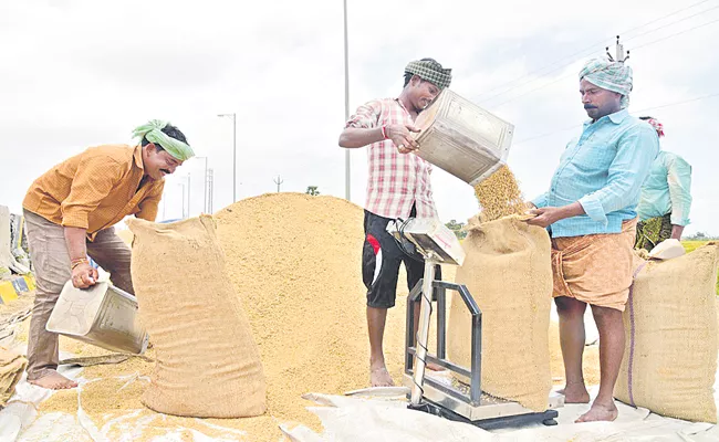 Andhra Pradesh Govt Supports grain farmers with 1,611 crores - Sakshi