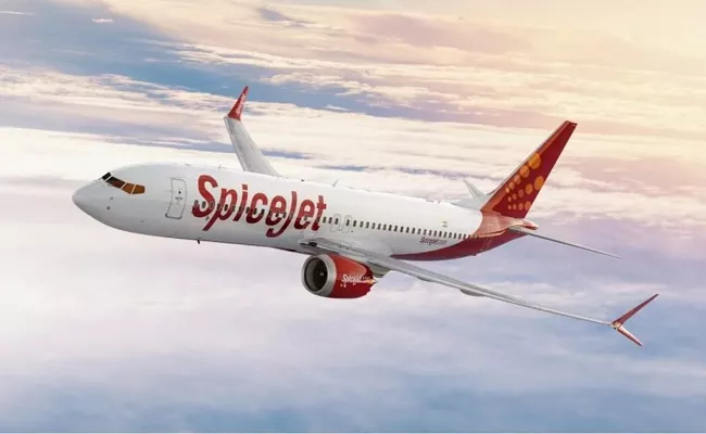 Spicejet Q3 Profit Jumps 160pc To Rs 110 Crore - Sakshi