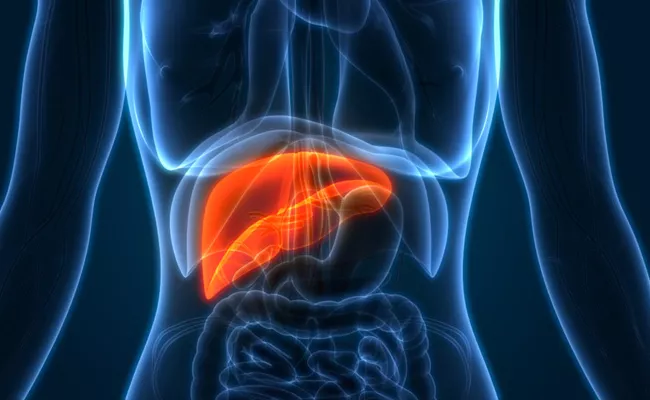 Let's know about liver cancer - Sakshi