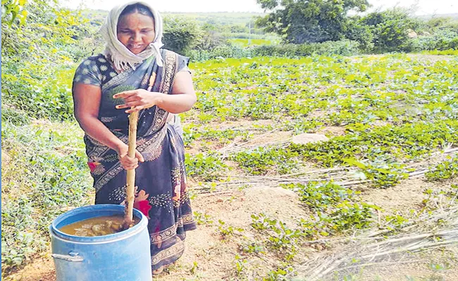 Andhra Pradesh best in nature cultivation - Sakshi