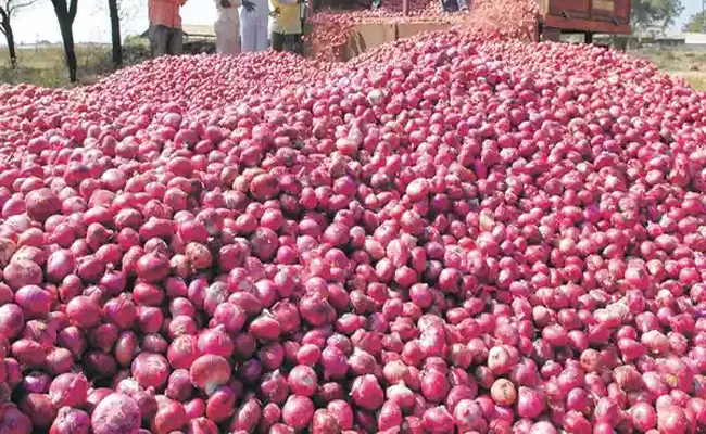 No ban on onion exports commerce ministry clarifies - Sakshi