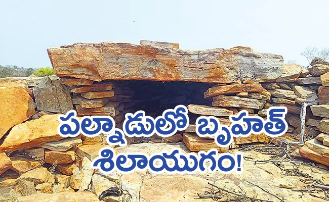 300 Year Old Primitive Human Burials Identified In Palnadu District - Sakshi