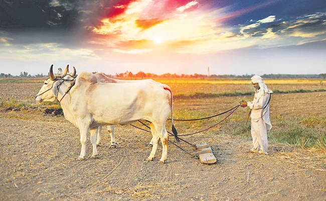 Telangana Budget 2023: Rs. 26, 831 Crore Allocated For Agriculture - Sakshi