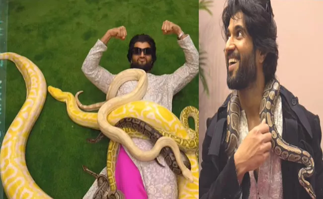 Vijay Devarakonda Shared He Visits ZOO Park in Dubai Video Goes Viral - Sakshi