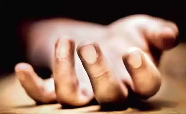 Wife And Husband Committee Suicide After Small Brawl - Sakshi