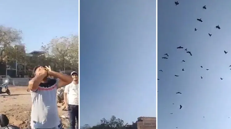 Man Can Call Crows In Seconds By Imitating Crow Sound, Video of Crow Whisperer Goes Viral