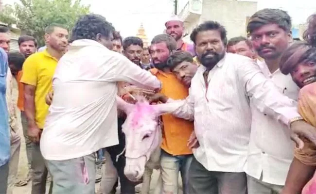 Son In Law Sitting Donkey Tradition Holly Beed Maharashtra - Sakshi