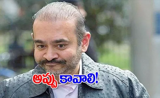 United Kingdom: Nirav Modi Claims He Has No Money To Pay Court Fines - Sakshi