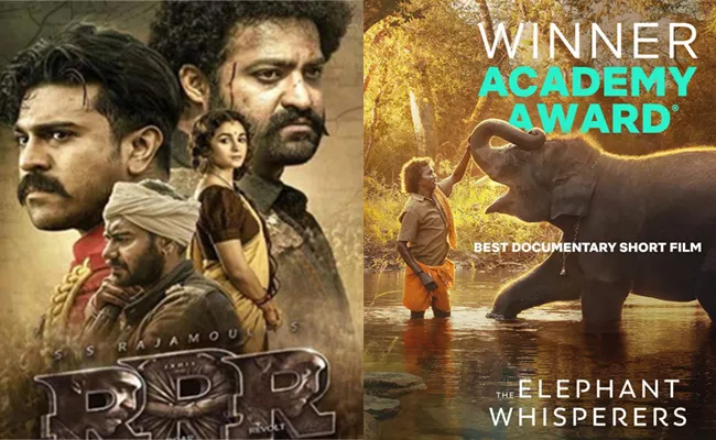 Oscar Award Winning Movies OTT Platform Streaming Details - Sakshi