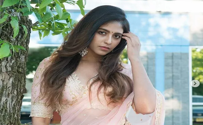 Actress Anjali Going Marry upcoming days goes viral - Sakshi