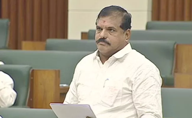 Minister Botsa Satyanarayana Mind Blowing Reply To Tdp In Assembly - Sakshi