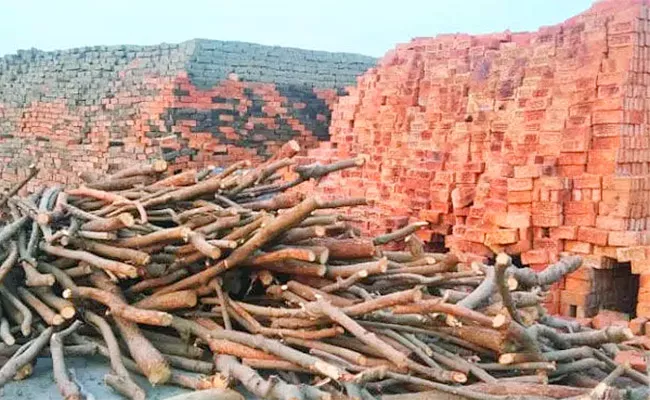 Chhattisgarh Tragedy At Brick Kiln Five Workers Died Of Suffocation - Sakshi