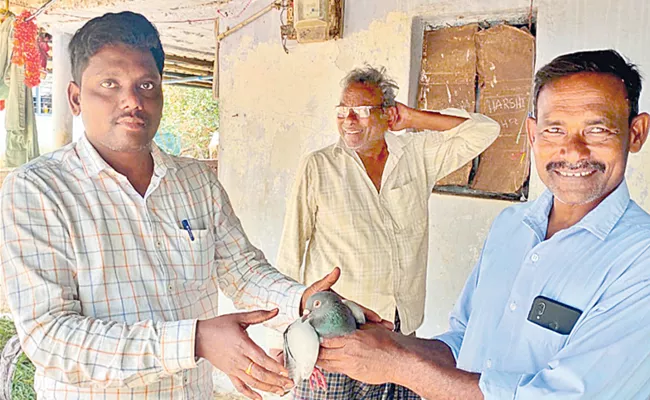 Telangana: Suspicious Pigeon Caught By Villagers In Khammam - Sakshi