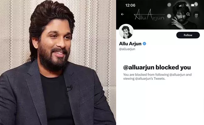 Varudu Actress Bhanu Sri Mehra Said Allu Arjun Blocked Her on Twitter - Sakshi