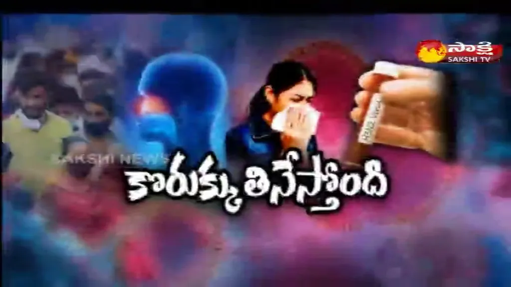 Sakshi Special Edition On H3N2 Virus