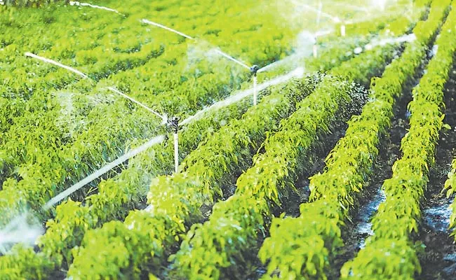 The state government is promoting micro farming in a big way - Sakshi