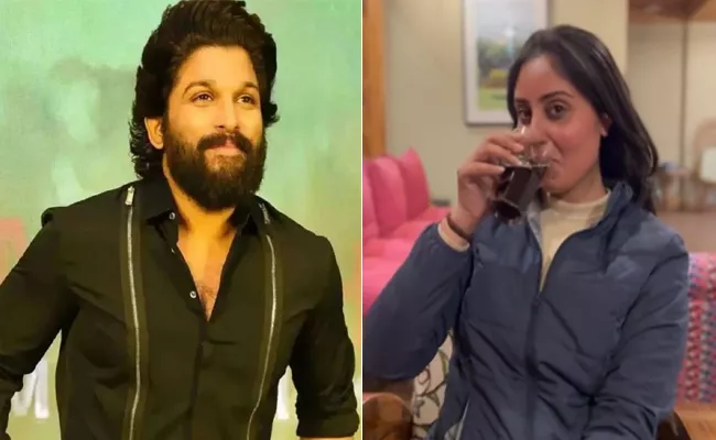 Varudu Fame Bhanu Sri Mehra Response On Her Tweet About Allu Arjun - Sakshi