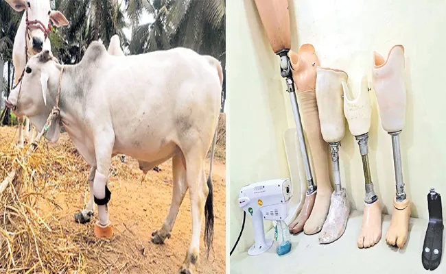 Palakollu Sadhasivamurthy Artificial Legs Giving Walk To Thousands - Sakshi