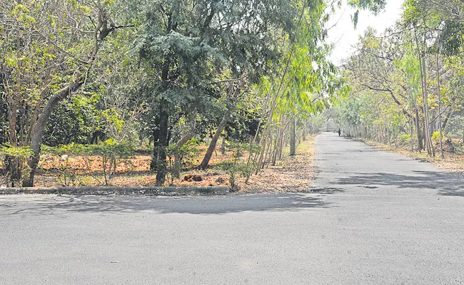 Janasena leader Lokam Madhavi Occupied Govt Land - Sakshi