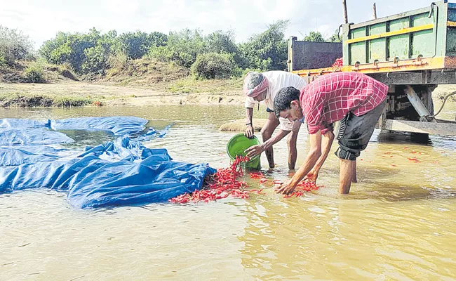 Crop loss in 5 lakh acres with Untimely rains and hail In Telangana - Sakshi