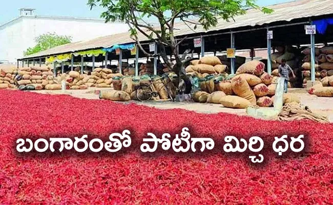 Andhra Pradesh Kurnool Mirchi Sold For Record Price - Sakshi