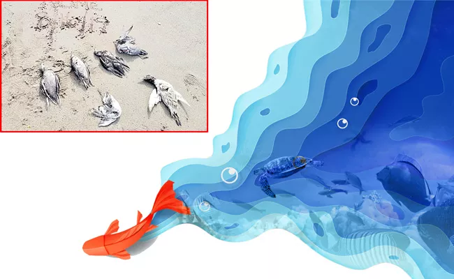 Not just land, scientists discover heat waves roiling at the bottom of oceans - Sakshi