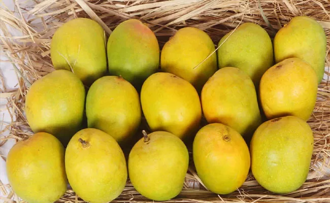 mangoes Have Arrived In Patna At Rs 200 A Piece And Rs 500 KG - Sakshi