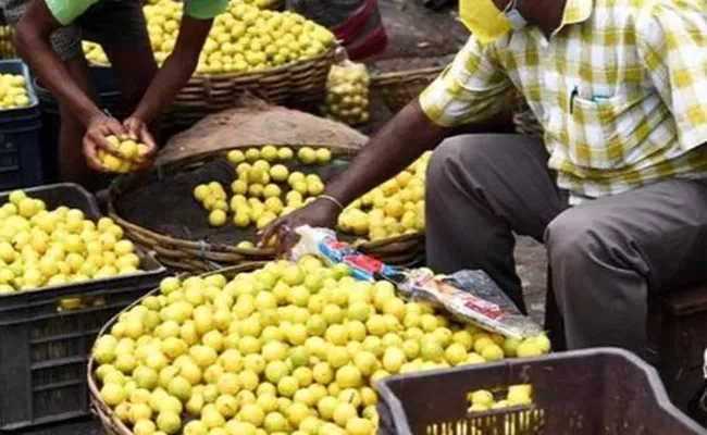 Lemon prices are increasing day by day - Sakshi