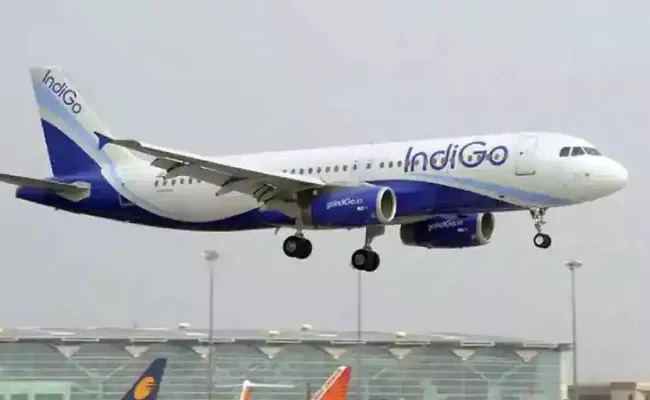 Two Drunk Passengers Dubai-Mumbai Indigo Flight Create Ruckus - Sakshi